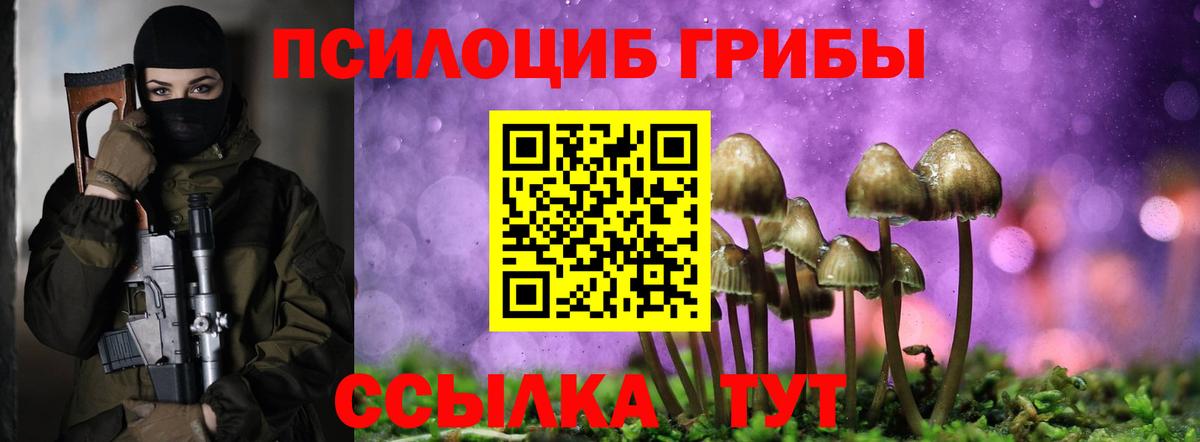 Мурино  Псилоцибиновые грибы Psilocybine cubensis  Вход с VPN 